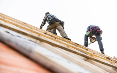 Comment protéger votre charpente de toiture contre les termites en charpenterie à Lyon ?
