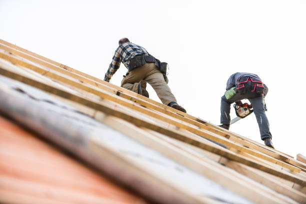 Comment protéger votre charpente de toiture contre les termites en charpenterie à Lyon ?